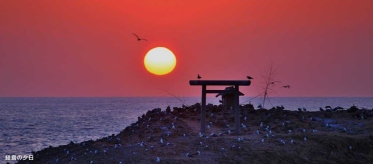 経島の夕日