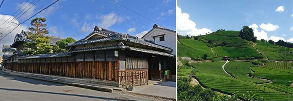 左：上狛の茶問屋の街並み/右：和束町石寺の山なり茶園
