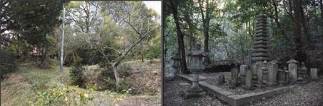 稲八妻医師茶園