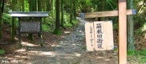 旅人たちの足跡残る悠久の石畳道 —箱根八里で辿る遥かな江戸の旅路