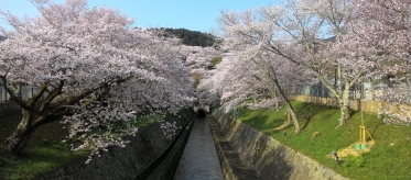 京都と大津を繋ぐ希望の水路　琵琶湖疏水 ～舟に乗り、歩いて触れる明治のひととき～