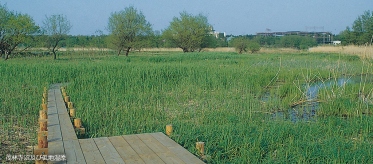 里沼（SATO-NUMA） －「祈り」「実り」「守り」の沼が磨き上げた館林の沼辺文化 －