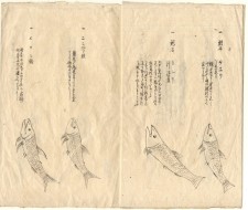 加賀家文書