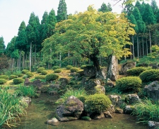 一乗谷朝倉氏庭園 