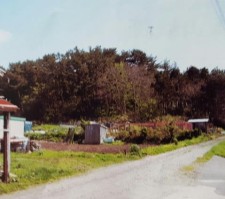 日和見山跡