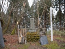 金剛山　如来神力品