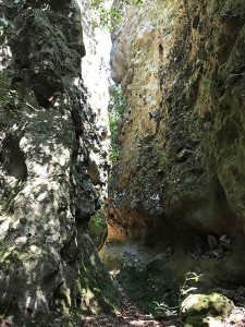 鬼の背割り