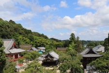 金剛寺の境内