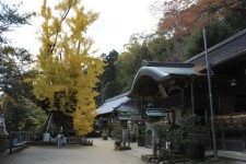 葛城一言主神社