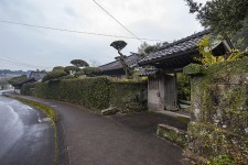 志布志麓 