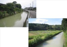 百太郎溝と幸野溝