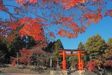 龍田大社