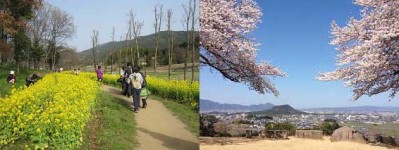 甘樫丘