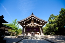 白兎神社樹叢 