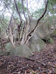 塩飽本島高無坊山石切丁場跡 