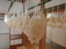 十団子