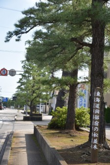 東海道松並木(内谷地区)