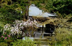 安国論寺