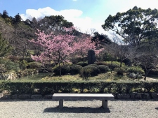 観心寺旧子院総持院跡 