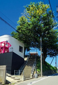日和山