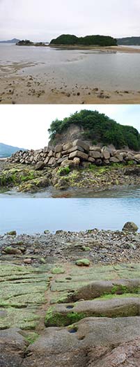 甘崎城跡