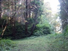 城山(亀ヶ城・花見ヶ城)