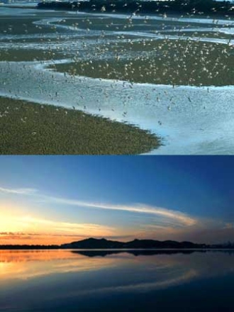 和歌の浦（片男波）