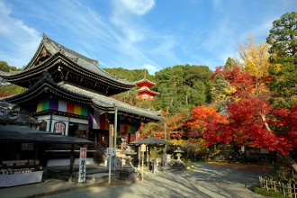 今熊野観音寺　本堂 