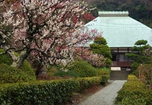 浄妙寺