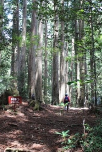 千本山