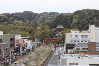 若宮大路