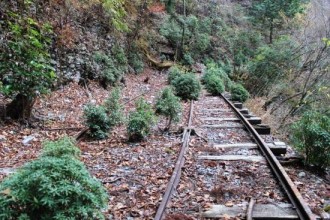 支線跡遺構群