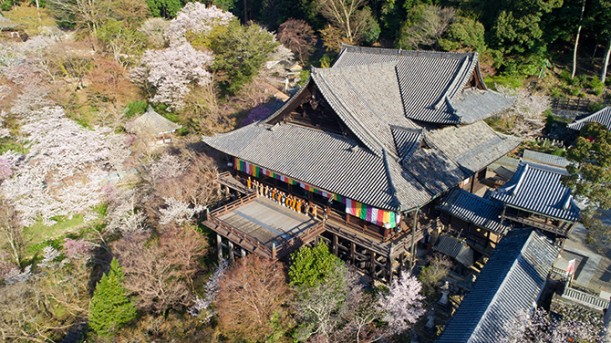 長谷寺 本堂|日本遺産ポータルサイト 長谷寺 本堂|日本遺産ポータルサイト