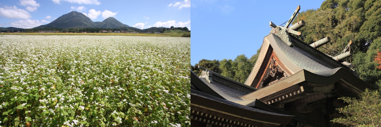 左：そば畑から見える三瓶山／右：石見一宮　物部神社