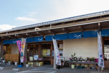 輝るぽーと安田「土佐の元気市」