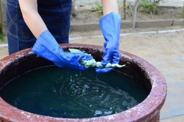 銚子ちぢみ　藍染め体験