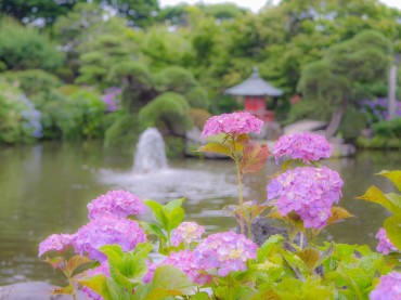 【水戸市】保和苑