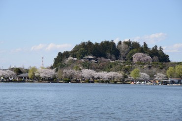 【水戸市】千波湖