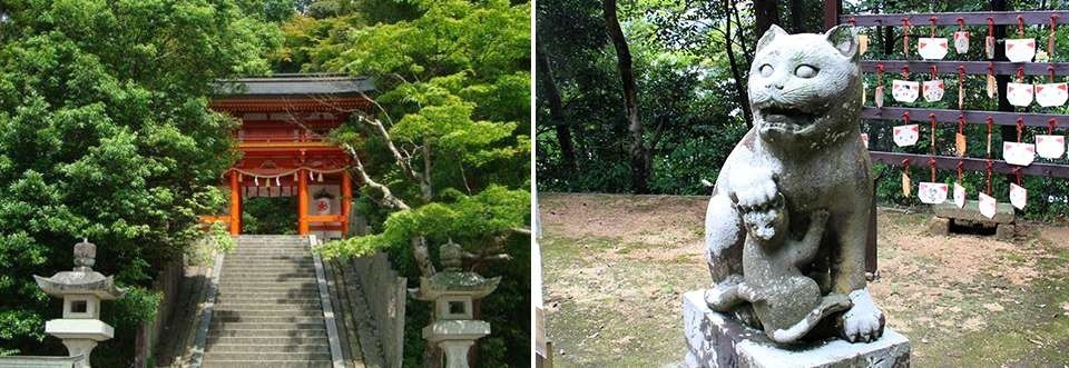 左：金刀比羅神社/右：木島神社の狛猫