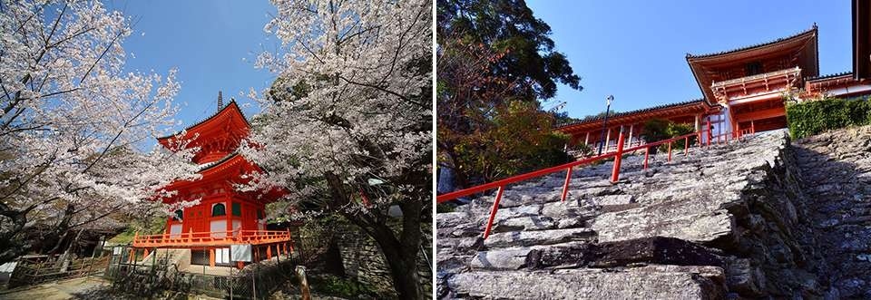 左：西国巡礼の桜の名所・紀三井寺/右：天神山に鎮座する和歌浦天満宮