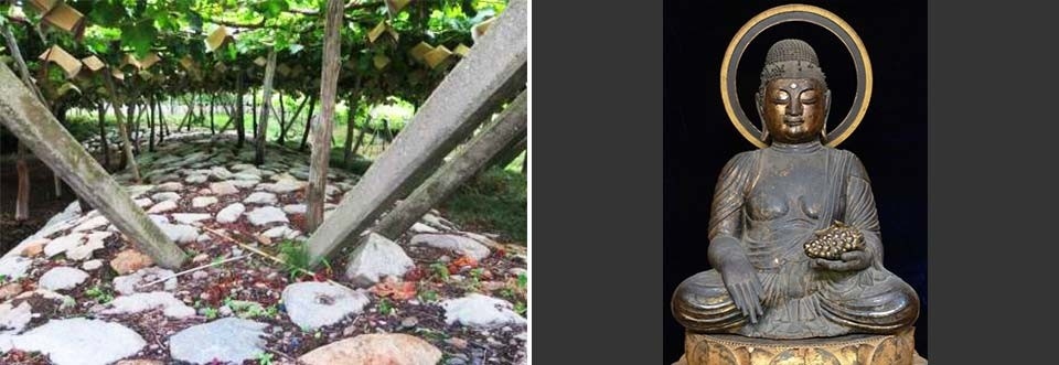 左：大善寺薬師如来像/右：日川沿いの治水施設、上は甲州式棚栽培の葡萄