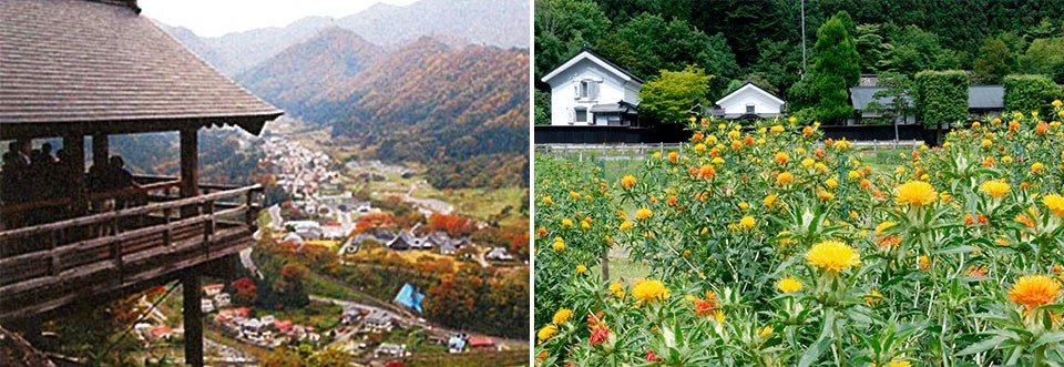 左：地域を見守る山寺からの景観/右：豪農屋敷の周囲に広がる紅花畑