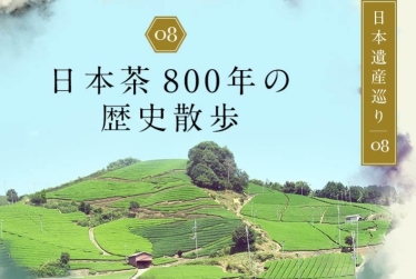 日本遺産巡り#08「日本茶800年の歴史散歩」