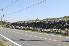 高島新地旧堤防跡(八代海干拓遺跡)