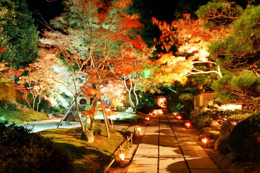 円通院の紅葉の様子（画像提供：宮城デジタルフォトライブラリー）