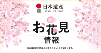 日本遺産　お花見情報