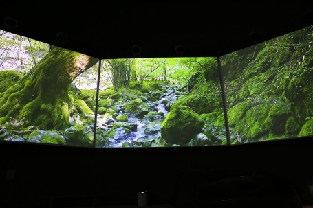 水源地の森の様子を館内のスクリーンで見ることができます