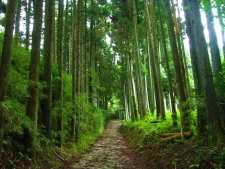 願合寺地区の石畳