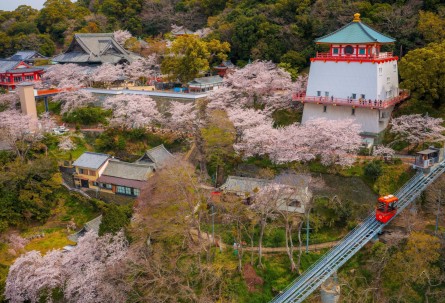 画像：境内（紀三井寺）