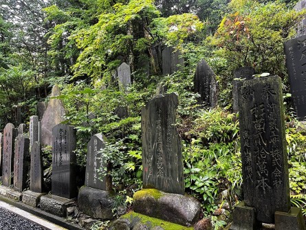 杉苗奉納石碑